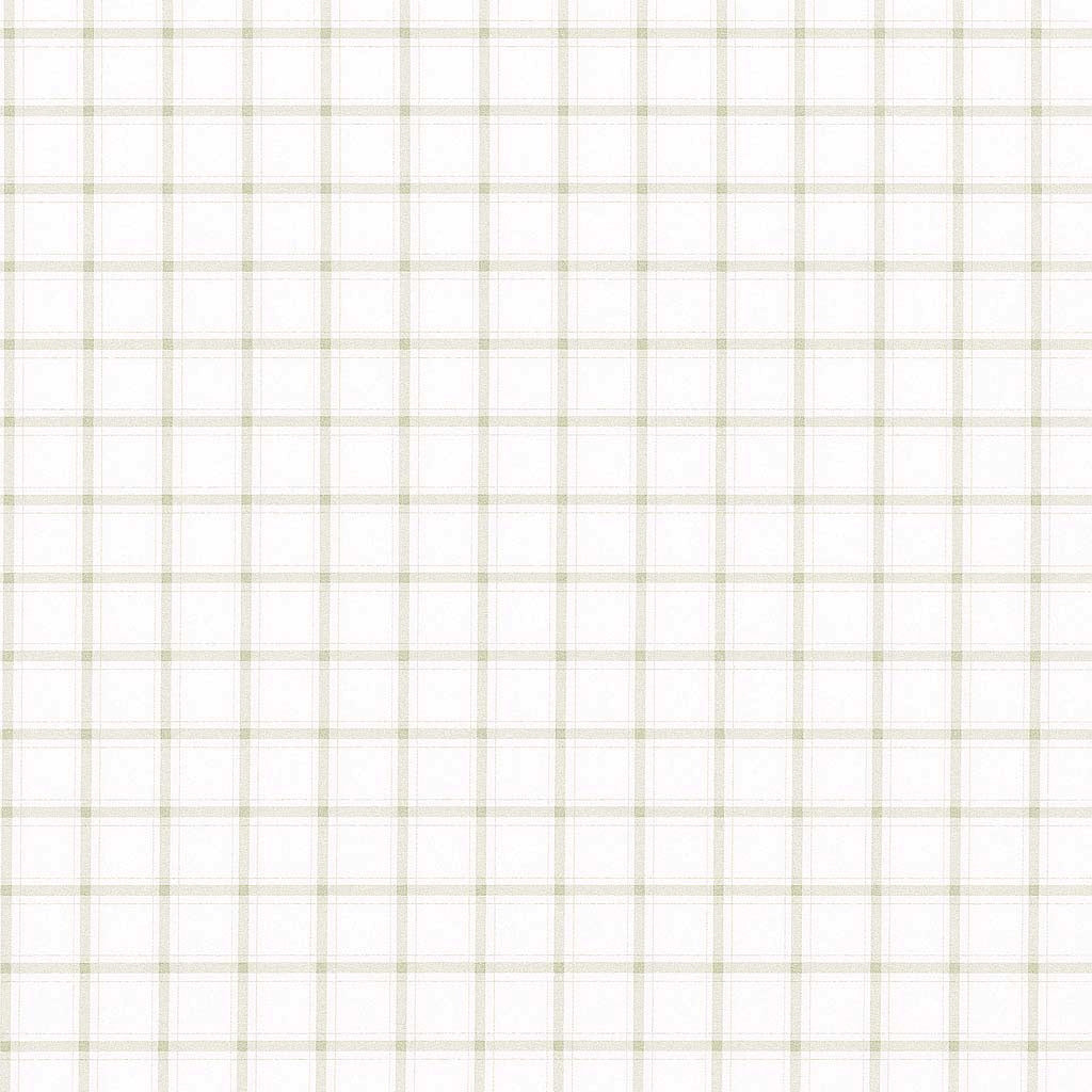 "The Shore" White with Tan Windowpane